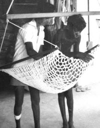 Hammock department