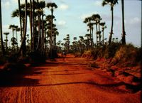 Greenbelt road with bullock cart, March 1978