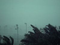 Monsoon landscape