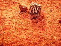 Auroville boundary stone markers close-up