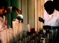 Fraternity candle-making department, Feb 1980