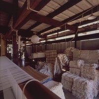 Fraternity products stock