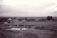 Aspiration Community landscape with goats