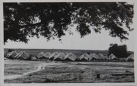 Aspiration huts view from under tree (with frame)