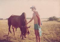 Bernard with bullock at Annapurna Farm