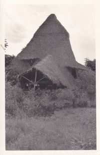 Hut at Fertile