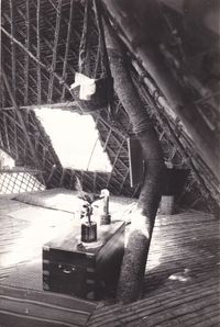 Tree house capsule inside