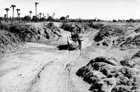 Bullock cart on furrowed road