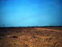 AV Early days, barren land
