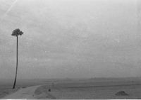 sand storm