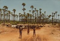 Village children with herd of goats