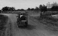 Water barrel in cart