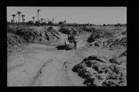Bullock cart on deep rutted road