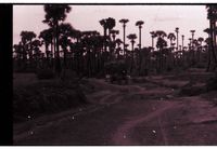 AV Roads