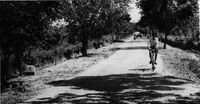 AV Roads