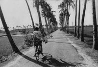 AV Roads