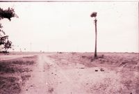 AV Roads