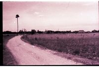 AV Roads