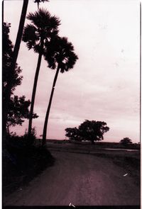 AV Roads