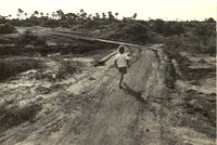 AV Roads