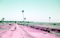 AV Roads