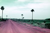 AV Roads