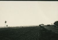 Ploughed field, early days 1