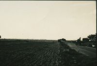 Ploughed field, early days 2