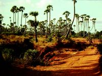 Road from Greenbelt to Utilite, 1978
