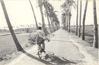 Road to Irumbai