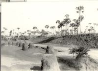 Earthworks and palmyras