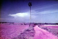 Road to Djaima