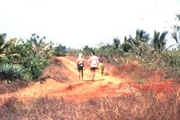 Walking along an AV road
