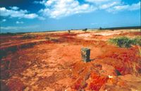 AV Stone Markers