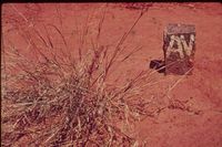 AV Stone Markers