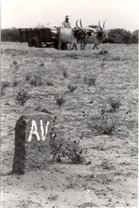 AV Stone Markers