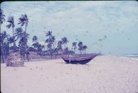 Fisherman & Their Boats