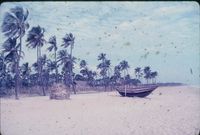 Fisherman & Their Boats