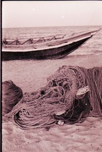 Fisherman & Their Boats