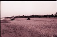 Fisherman & Their Boats