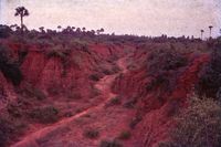 Canyons