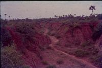 Canyons
