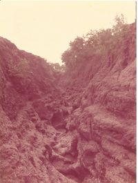 Canyons