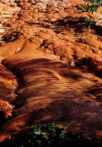 Landscapes colour 100M
