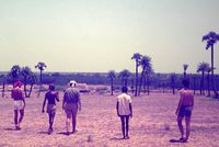 Landscapes colour 100M