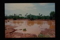 Landscapes colour 100M
