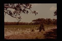 Landscapes colour 100M