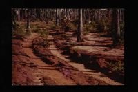 Landscapes colour 100M