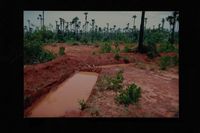 Landscapes colour 100M