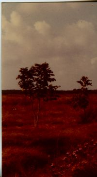 Landscapes 10 to 100MB